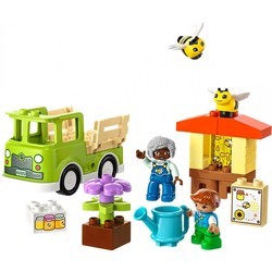 Конструкторы Lego Caring for Bees and Beehives 10419