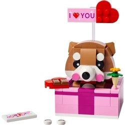 Конструкторы Lego Love Gift Box 40679