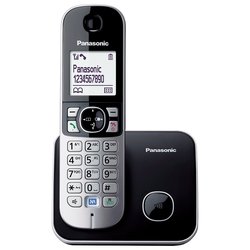 Радиотелефон Panasonic KX-TG6811 (серебристый)