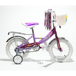 Детский велосипед Mars C1201 (фиолетовый)