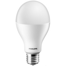 Лампочки Philips 929000250007