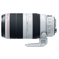 Объектив Canon EF 100-400mm f/4.5-5.6L II USM