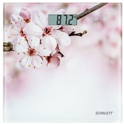 Весы Scarlett SC-BS33E001