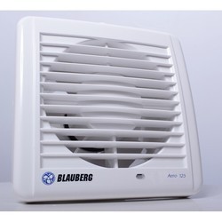 Вытяжной вентилятор Blauberg Aero (125) (серебристый)