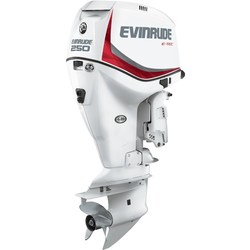 Лодочные моторы Evinrude E250DCX