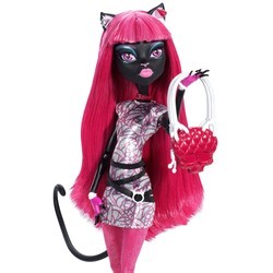 Куклы Monster High New Scare Mester Catty Noir BJM43