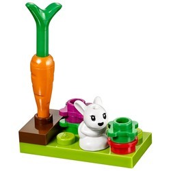 Конструктор Lego Bunny and Babies 41087