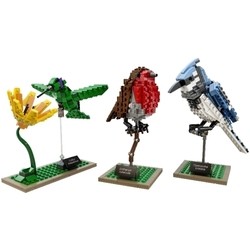 Конструктор Lego Birds 21301