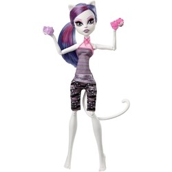 Кукла Monster High Fangtastic Fitness Catrine DeMew CHW76