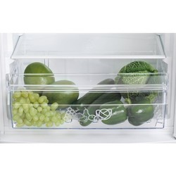 Холодильник Zanussi ZRA 17800 WA