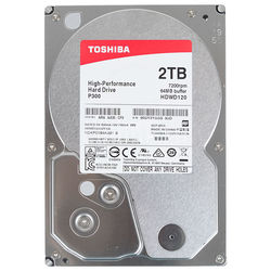 Жесткий диск Toshiba HDWD120EZSTA (нержавеющая сталь)