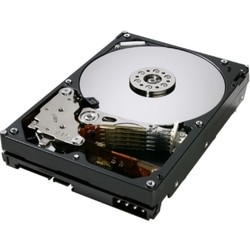 Жесткий диск Hitachi HDS725050KLA360