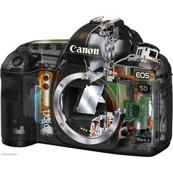 Фотоаппарат Canon EOS 5D Mark II kit 24-105