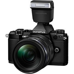 Фотоаппарат Olympus OM-D E-M5 II body (серебристый)