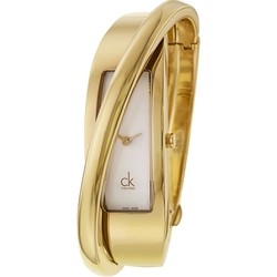Наручные часы Calvin Klein K2J24501