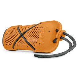 Портативная акустика Microlab D-22 (оранжевый)