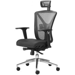 Компьютерное кресло Duorest Ascendent