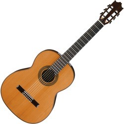 Гитара Ibanez G500