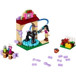 Конструктор Lego Foals Washing Station 41123