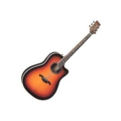 Акустические гитары Parksons EA105