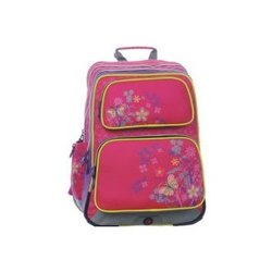 Школьный рюкзак (ранец) Bagmaster BM-GOTSCHY 0115 B