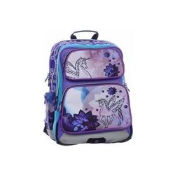 Школьный рюкзак (ранец) Bagmaster BM-GOTSCHY 0115 C