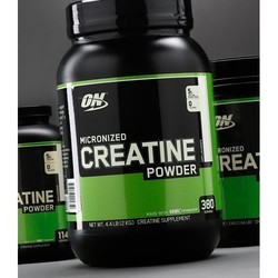 Креатин Optimum Nutrition Creatine Powder 1200 g