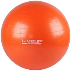 Гимнастический мяч LiveUp LS3221-55