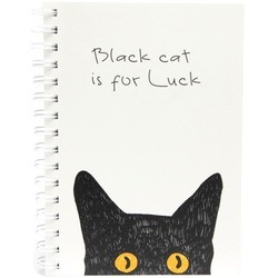 Ежедневники Kraft Planner Black Cat